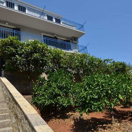 Apartments Kuzma Prigradica Exterior photo
